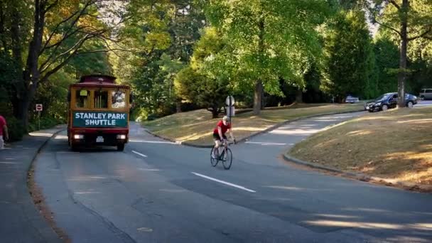 Ônibus de ônibus turístico passa no parque — Vídeo de Stock