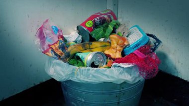 Tam çöp tenekesi etrafında vızıldar