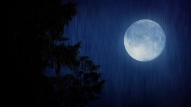 Ay ve şiddetli yağmur ağaç