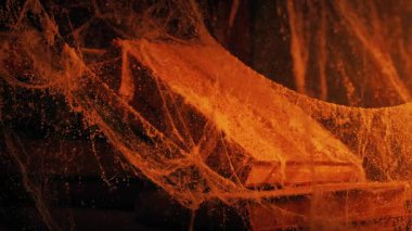 Eski kitap şömine ışığında örümcek ağlarının altından alınır.