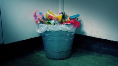 Çöp Kutusuna atılabilir 2 sürümü