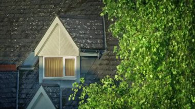 Rüzgarda Sallanan Ağacın Tipik Binası