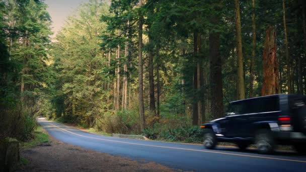 Coche y camioneta pasando por el Parque Nacional — Vídeos de Stock