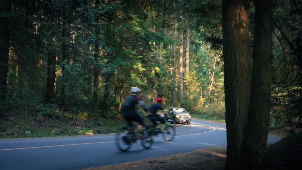 Radfahrer überholt Auto auf Forststraße — Stockvideo