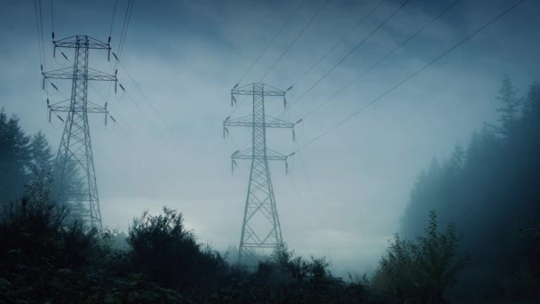 Linee elettriche nella foresta in una tempesta — Video Stock