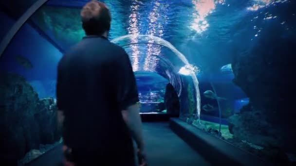 Acuario túnel submarino con el hombre caminando a través de — Vídeos de Stock