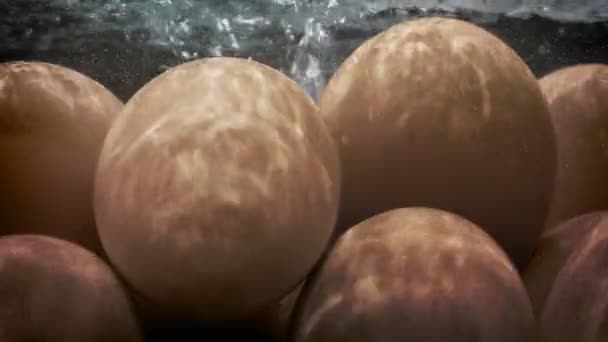 Uova che cucinano in vaso di acqua bollente — Video Stock