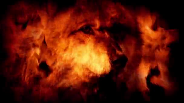 Wolf In Flames Résumé 