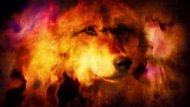 Wolf In Mystic Vision Smoke