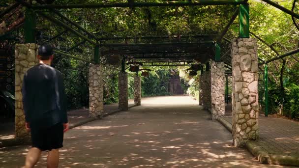 L'homme marche sous un immense auvent dans le parc — Video