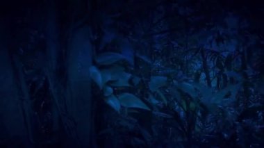 Yoğun ormanda geceleri hareketli yan görünüm