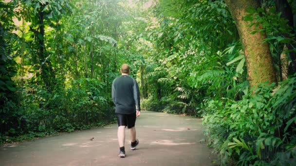 Man loopt verleden op pad door tropische bos — Stockvideo