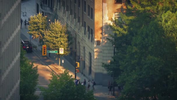Menschen überqueren abends die Straße in der Innenstadt — Stockvideo