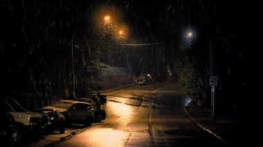 Şehrin yolda düşen kar