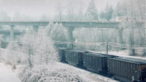 Tren de carga y metro pasando en la nieve — Vídeo de stock