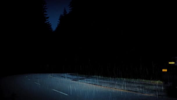 晚上在暴雨的森林道路上的汽车 — 图库视频影像