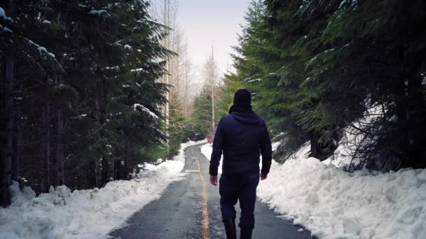 Man går ner snöiga vägen i skogen — Stockvideo