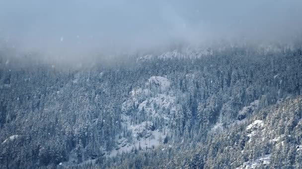 Mist In besneeuwde weer bovenop berg — Stockvideo