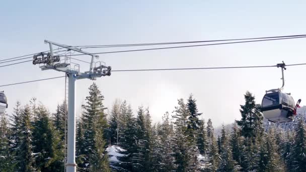 Gondolas pasando por encima de los árboles nevados — Vídeo de stock