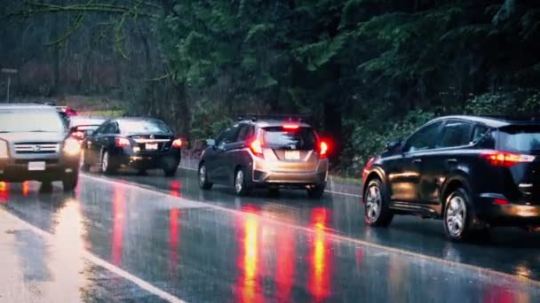 Carros dirigindo através do parque na chuva — Vídeo de Stock