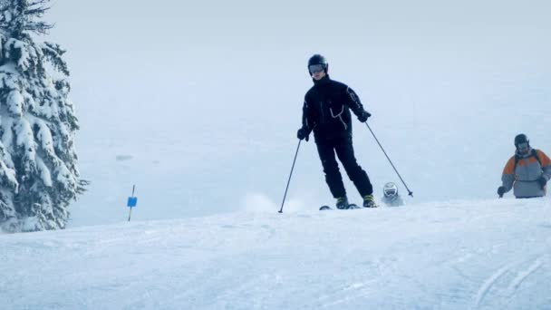 Skieurs sur la pente de poudre fraîche — Video