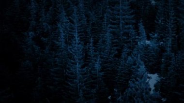 Uçuş bitti karlı dağ orman geceleri