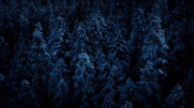 Uçan geçmiş ay ışığında karlı ağaçlar