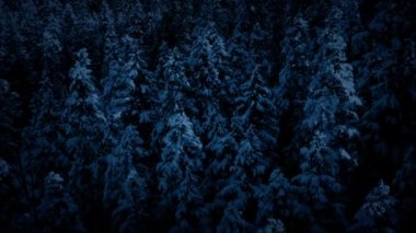 Uçan geçmiş ay ışığında karlı ağaçlar