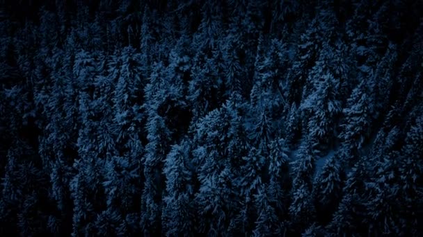 Vista aérea del bosque congelado en la oscuridad — Vídeo de stock