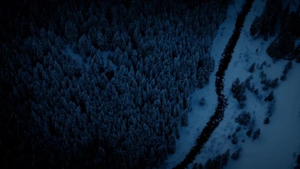 Voler au-dessus de la rivière Icy la nuit — Video