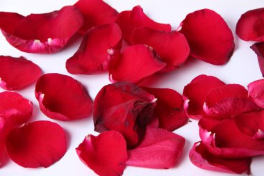 Arka planı süre bir gül yaprağı