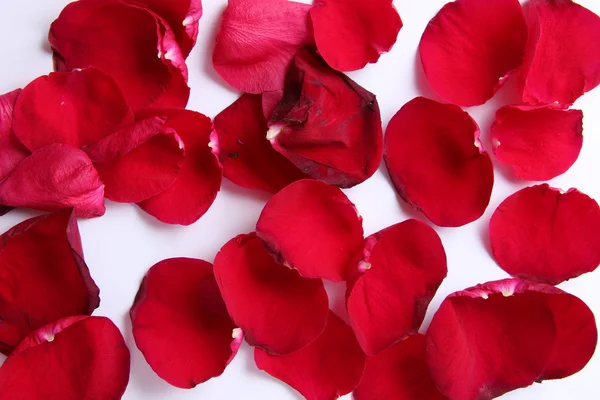 Arka planı süre bir gül yaprağı