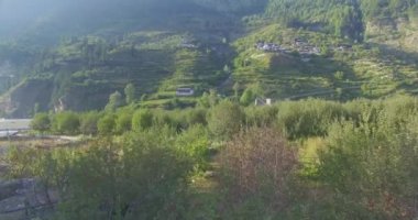 Himalaya köyündeki elma bahçeleri Uttarakhand Hindistan. 