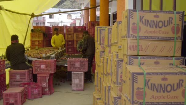 Producción de manzana en Uttarakhand Himalaya India. — Vídeo de stock