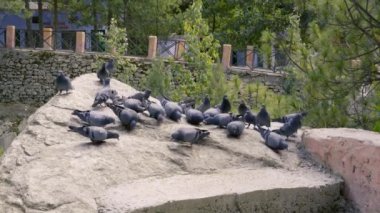 Gangotri Tapınağı yolu Himalaya Hindistan. 