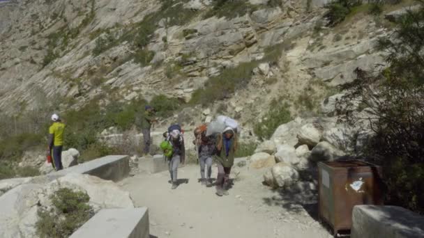 Rastreadores en la ruta de senderismo Gaumukh en Uttarakhand India. — Vídeos de Stock