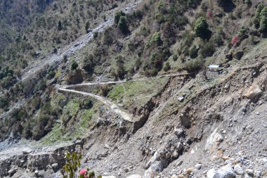 Kedarnath Tapınağı yürüyüşü Haziran 2013 felaketinde hasar gördü.