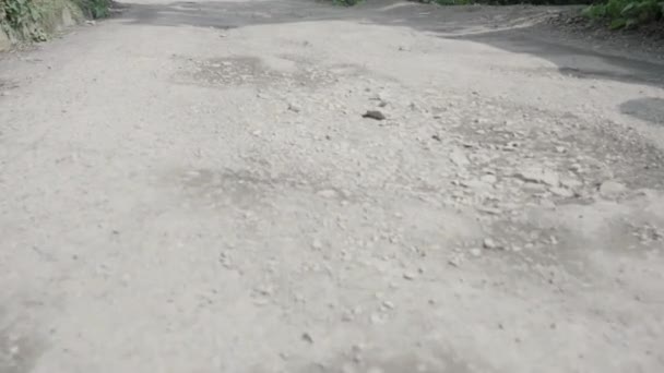 최악의 경우, 인도 의도로 상태를 보여 주는 잡지 — 비디오