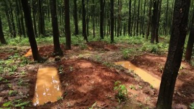 Uttarakhand Hindistan 'da geleneksel su koruma yöntemi.