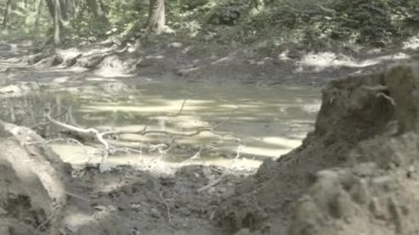 Gölde, suyu korumanın harika bir yolu