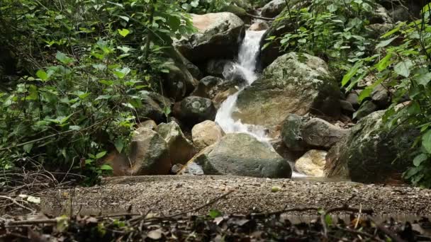 Uttarakhand Hindistan 'daki Himalaya Bölgesi' nin Su Kaynakları — Stok video