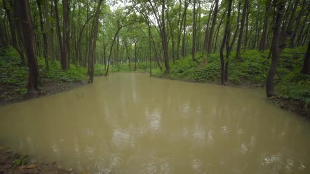 Metody zbierania wody deszczowej w Indiach — Wideo stockowe