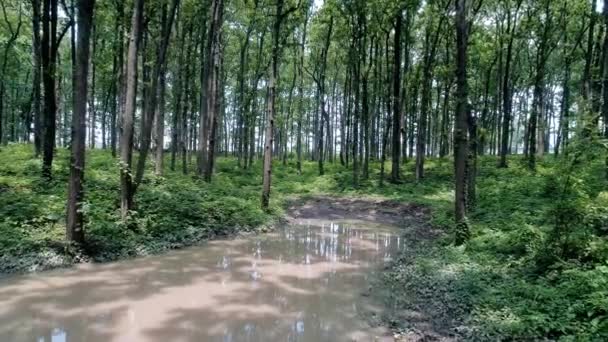 Det traditionella sättet att skörda vatten i Uttarakhand Indien — Stockvideo