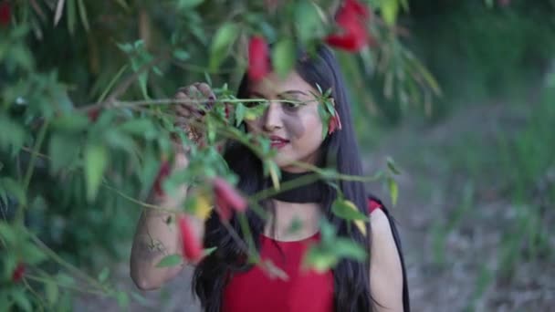 Indian dziewczyna w zielonym polu — Wideo stockowe