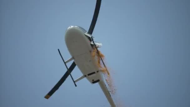 Helicóptero ducha pétalos de flores en Kumbh Mela Haridwar 2021, Apple prores 422 60p Cinetone. — Vídeos de Stock