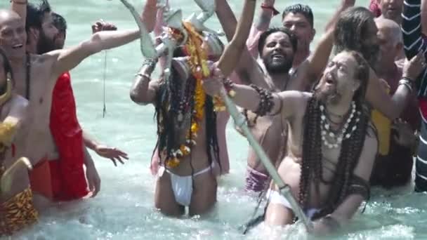 Kumbh Mela Haridwar India. Slowmotion shot of Sadhus or Saints of Akharas taking bath in Holy Water of River Ganges. Worship with Trishul and Shank ornament. Appleprores 422 Cinetone — Stock Video
