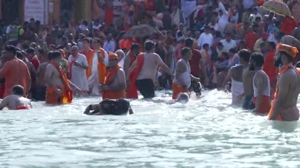 Kumbh Mela Haridwar Indie. Zpomalený záběr Sadhusa nebo svatých z Akharasu, jak se koupe ve Svaté vodě řeky Gangy. Appleprores 422 Cinetone — Stock video