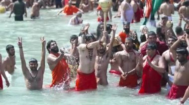 Kumbh Mela Haridwar Hindistan. Sadhus 'un ya da Akharas Azizleri' nin Ganj Nehri 'nin Kutsal Suyu' nda banyo yaptığı yavaş çekim. Dini bir süs olan Gadha ile birlikte tapın... 422 Cinetone elması.