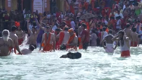 Kumbh Mela Haridwar印度。阿卡拉斯的萨胡斯或圣徒在恒河圣水中洗澡的慢镜头。Appleprores 422 Cinetone — 图库视频影像