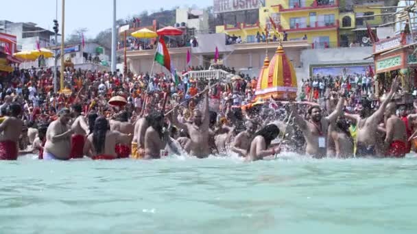 Kumbh Mela Haridwar Ινδία. Slowmotion πλάνο του Sadhus ή Αγίων του Akharas λαμβάνοντας μπάνιο στο Ιερό Νερό του ποταμού Γάγγη. Απλεπρορές 422 Σινετόνη — Αρχείο Βίντεο